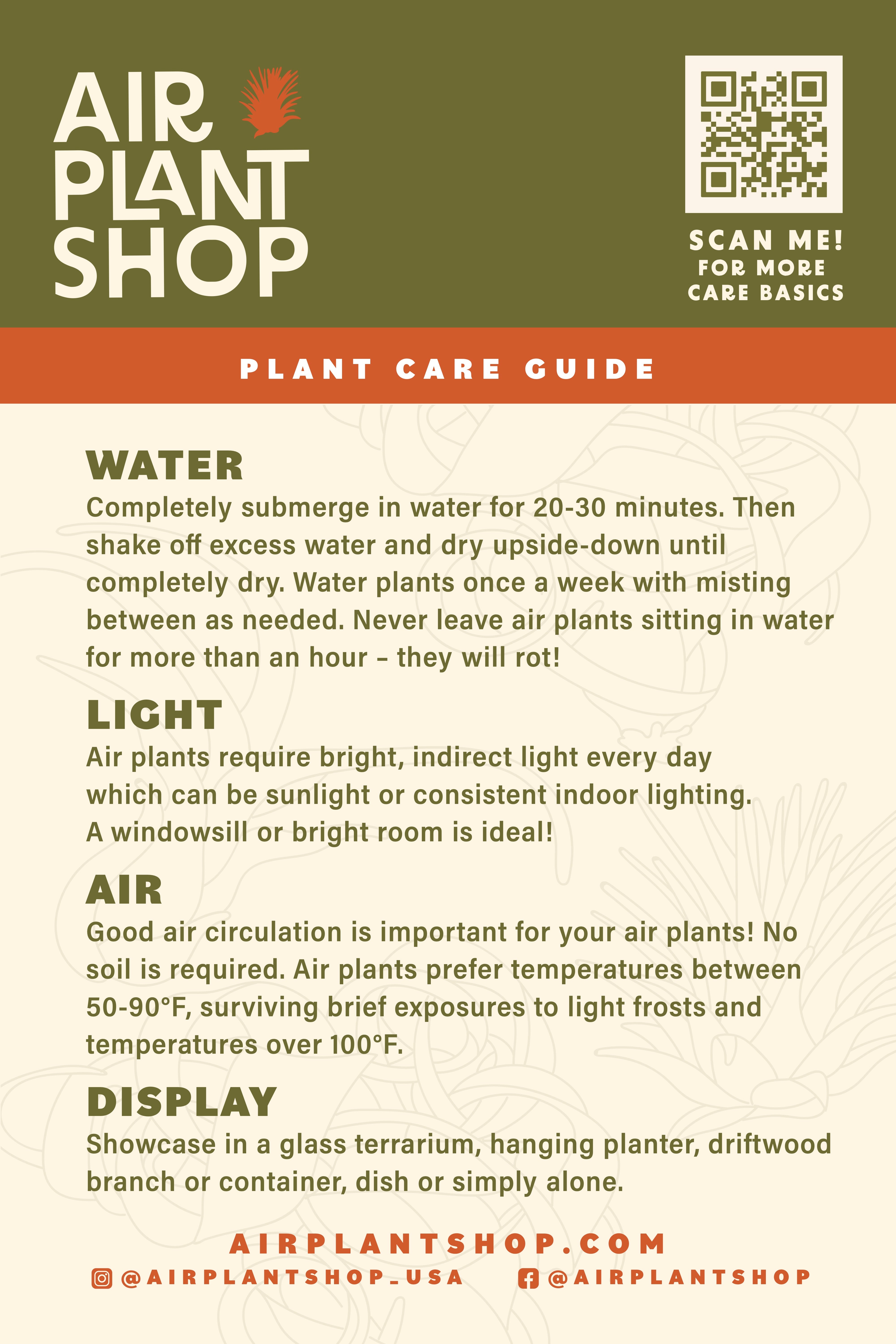 Wholesale: Tillandsia Air Plant Care Cards