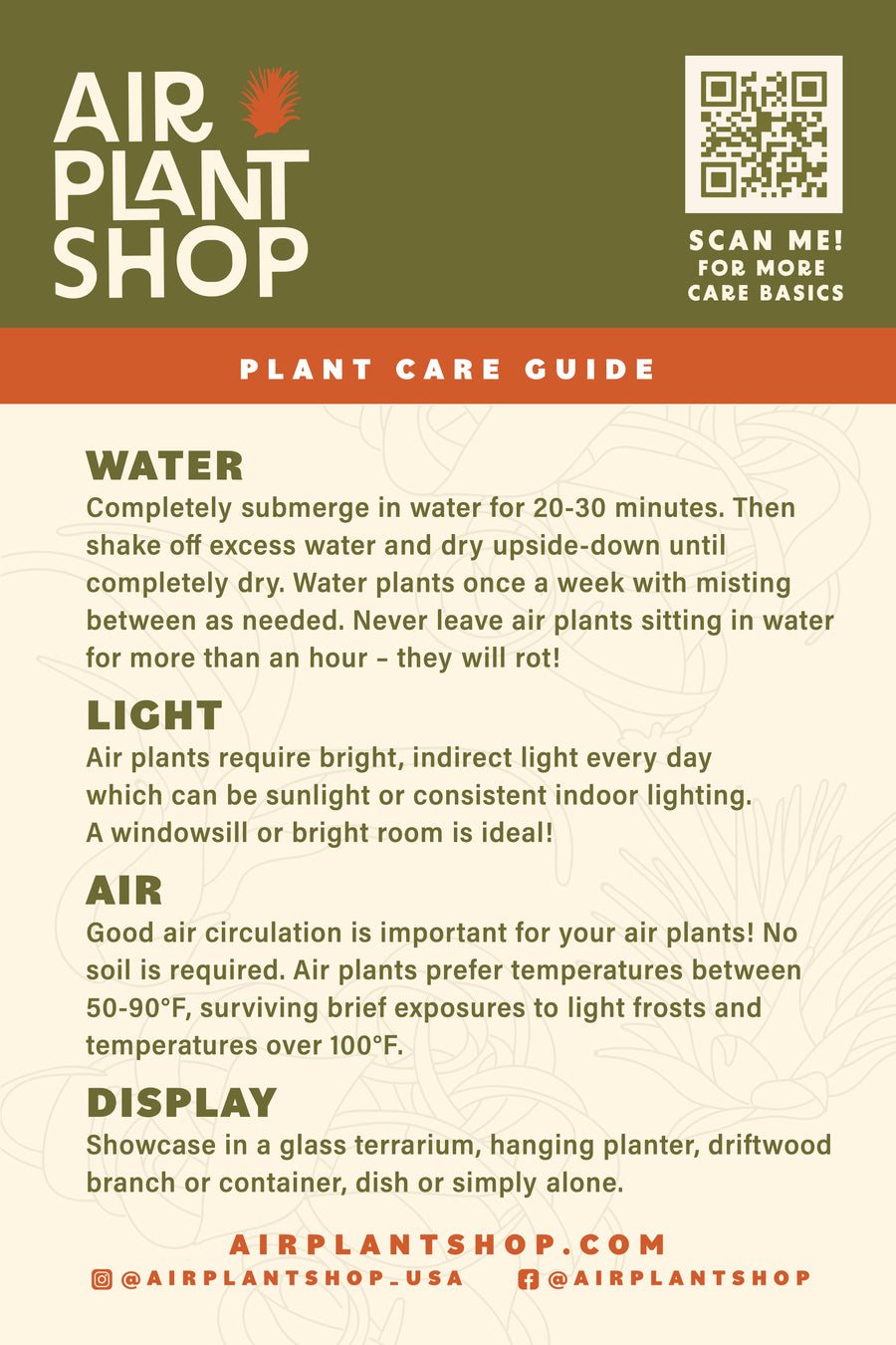 Air plant shop tillandsia care card front side with tillandsia care instructions