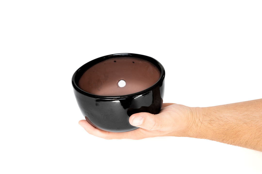 Black Glazed Terracotta Pot for Tillandsia Xerographica & Large Plant Assortments