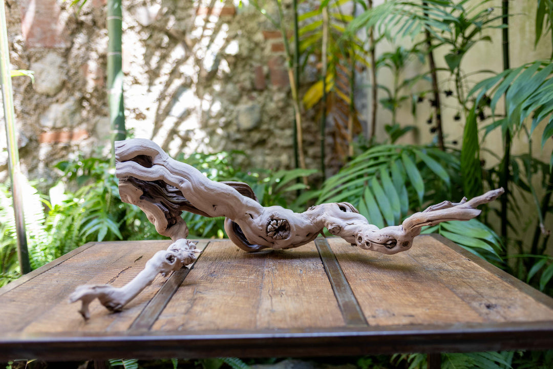 large multi-branch grapevine wood display