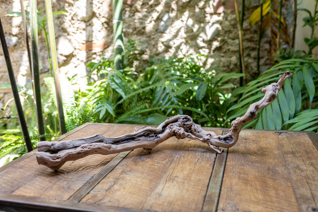 medium single branch grapevine wood display