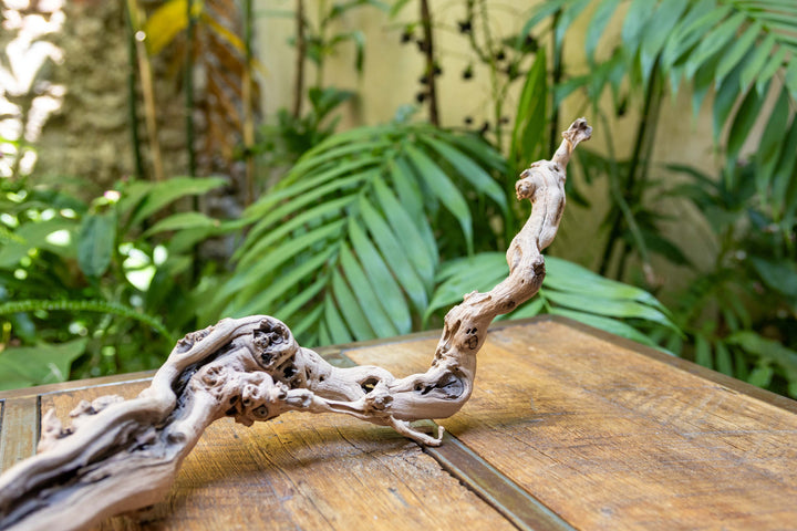 medium single branch grapevine wood display