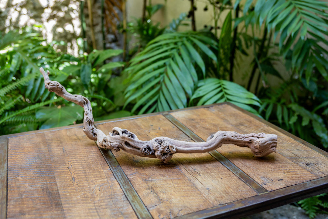 medium single branch grapevine wood display
