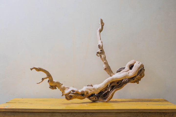 large multi-branch grapevine wood display