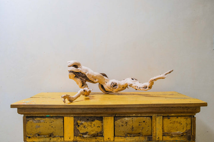 large multi-branch grapevine wood display