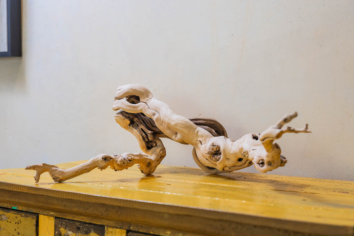 large multi-branch grapevine wood display
