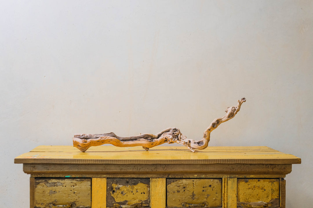 medium single branch grapevine wood display