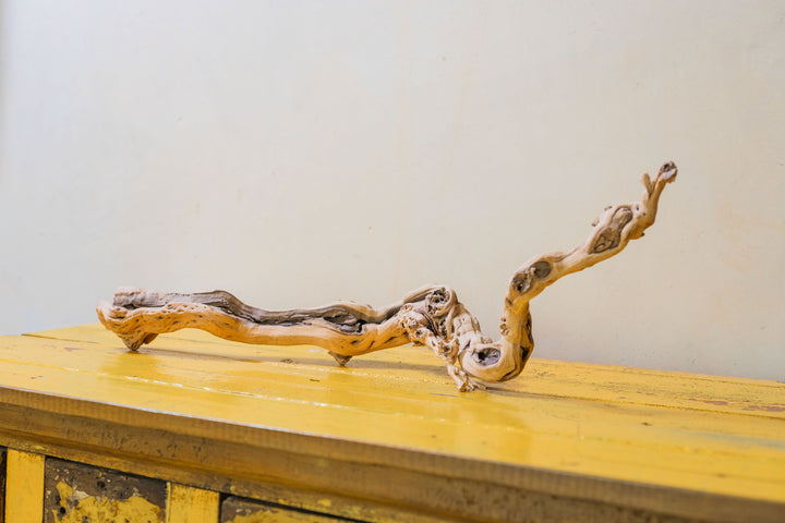 medium single branch grapevine wood display