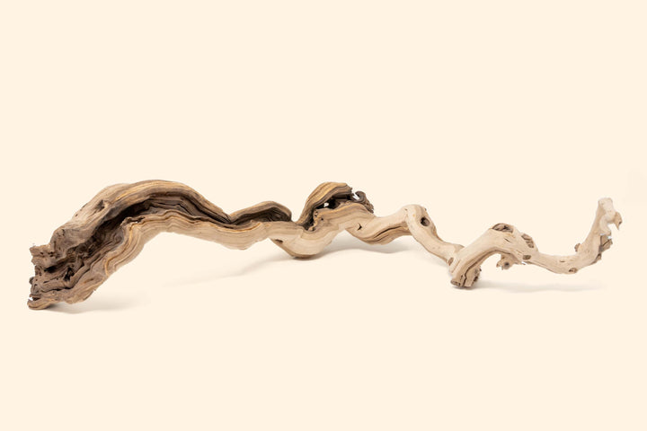 medium single branch grapewood display