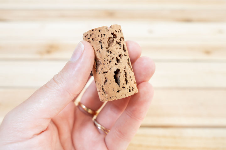 hand holding a wine cork planter
