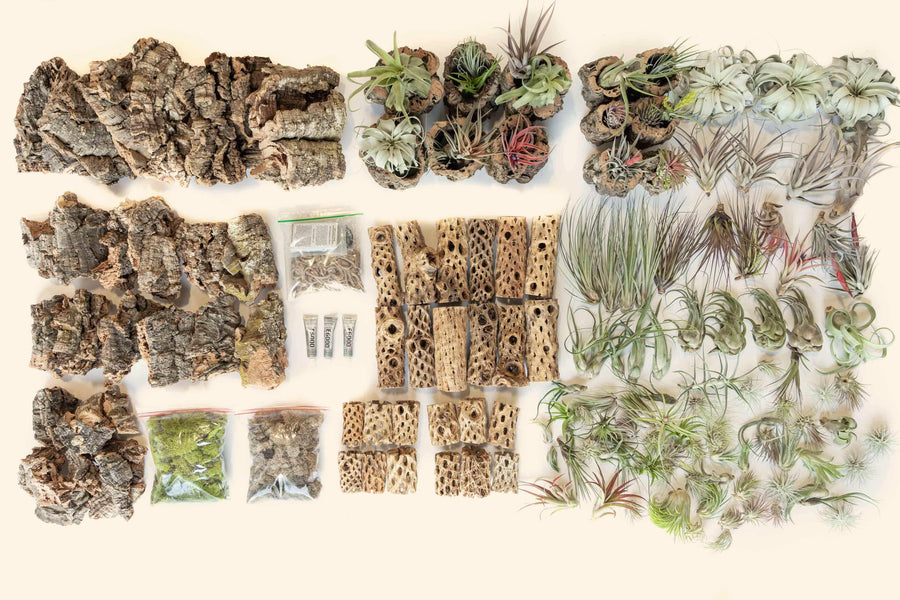 aerial view of crafty cork collection