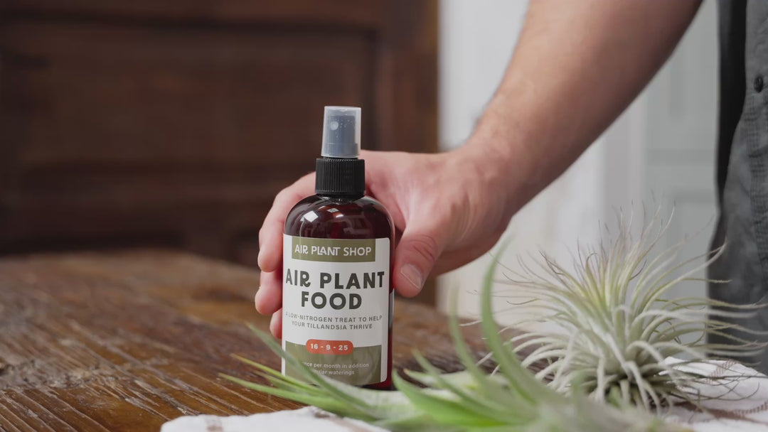 Ready-To-Use Tillandsia Air Plant Fertilizer