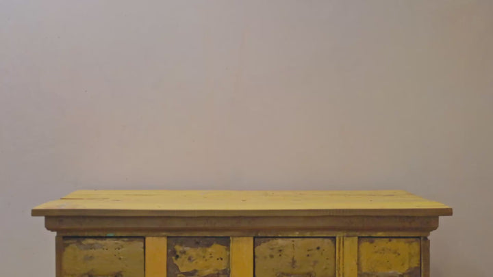 grapewood with tillandsia xerographica air plants silent loop