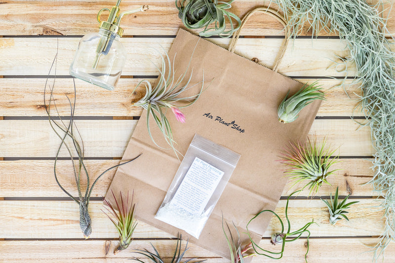 branded gift bag, glass mister, powder concentrate fertilizer and assorted tillandsia air plants