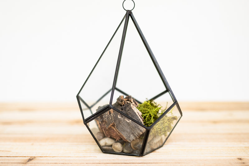 multifaceted glass diamond shaped terrarium with stones, bark and moss