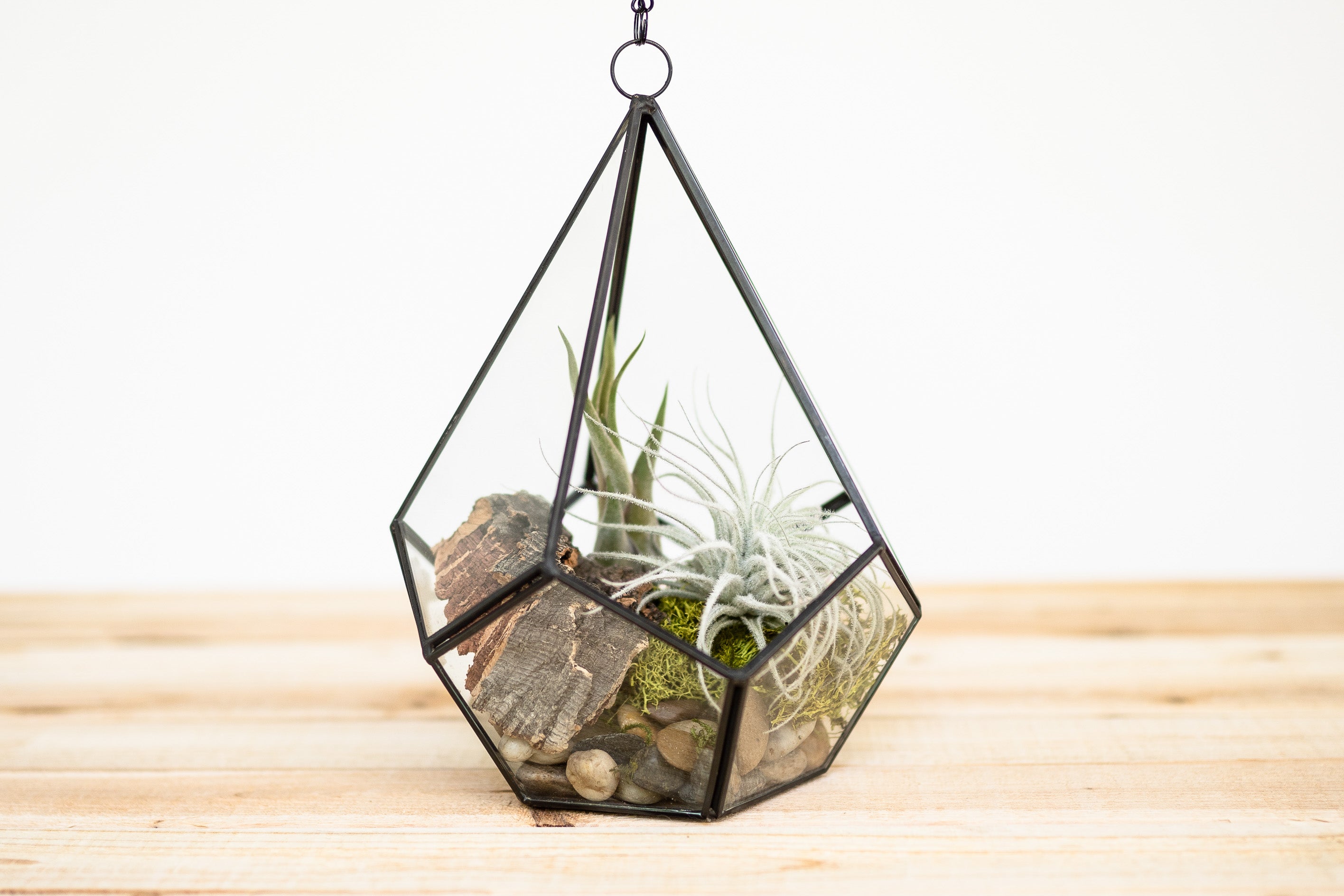 air plant and succulent terrarium DIY Glass Diamond Terrarium