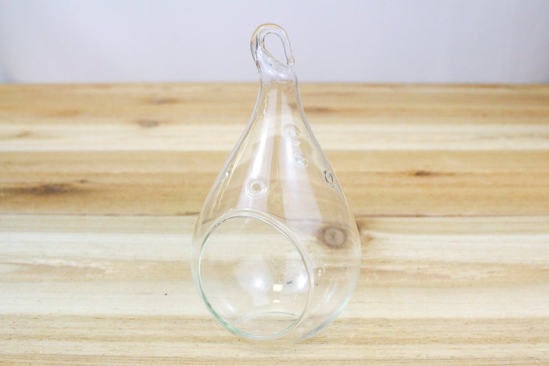 glass teardrop terrarium with flat bottom and hook for hanging