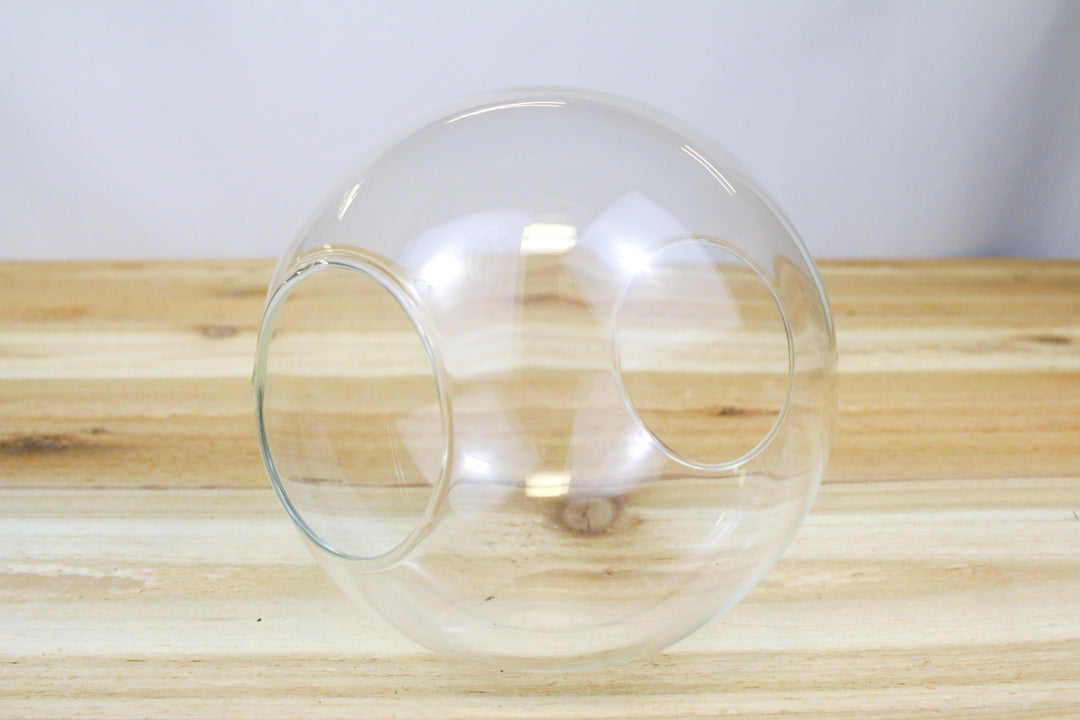 large globe terrarium with two open ends
