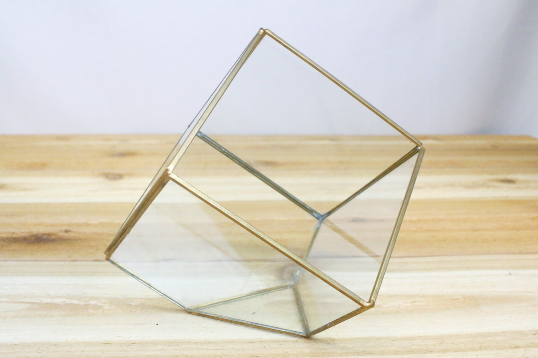 Large Heptahedron Geometric Terrarium