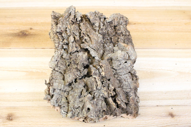 medium cork bark display 