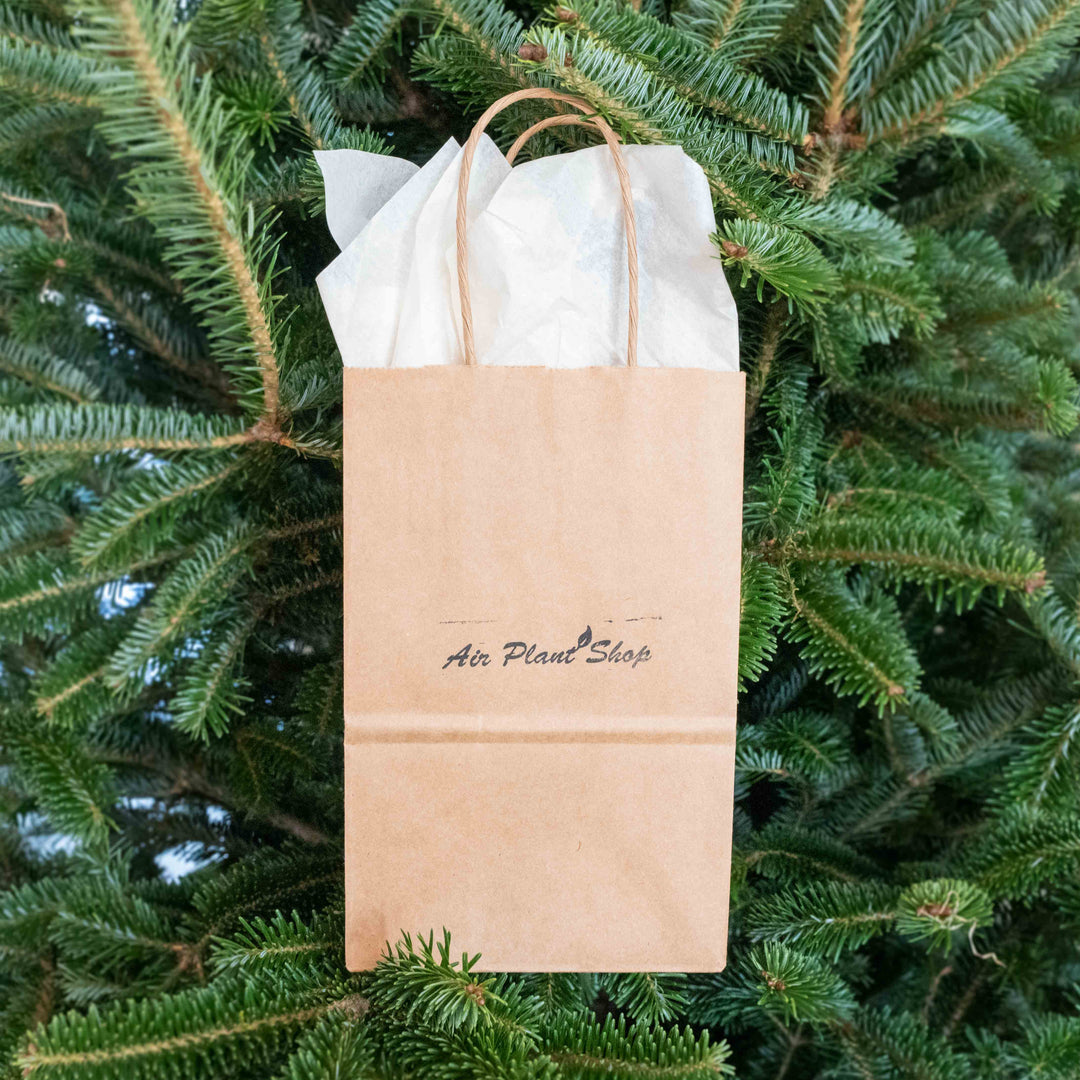 branded gift bag
