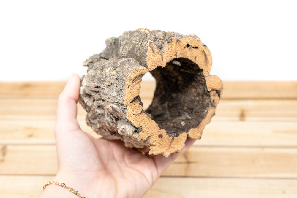 Natural Cork Bark Planter
