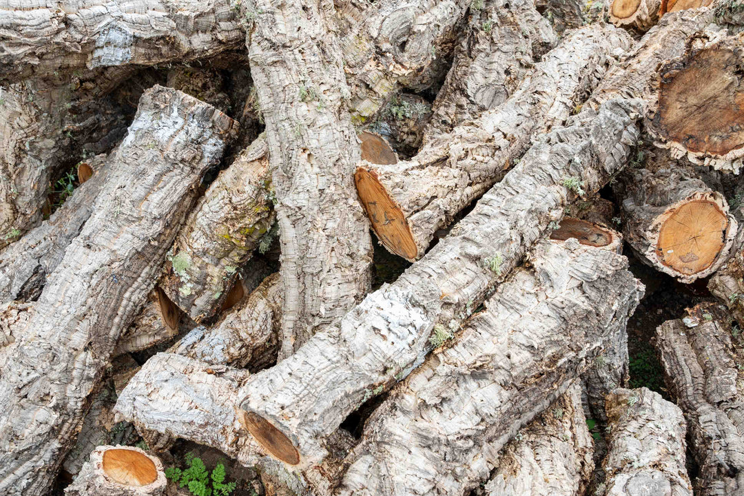 harvesting cork bark display portugal