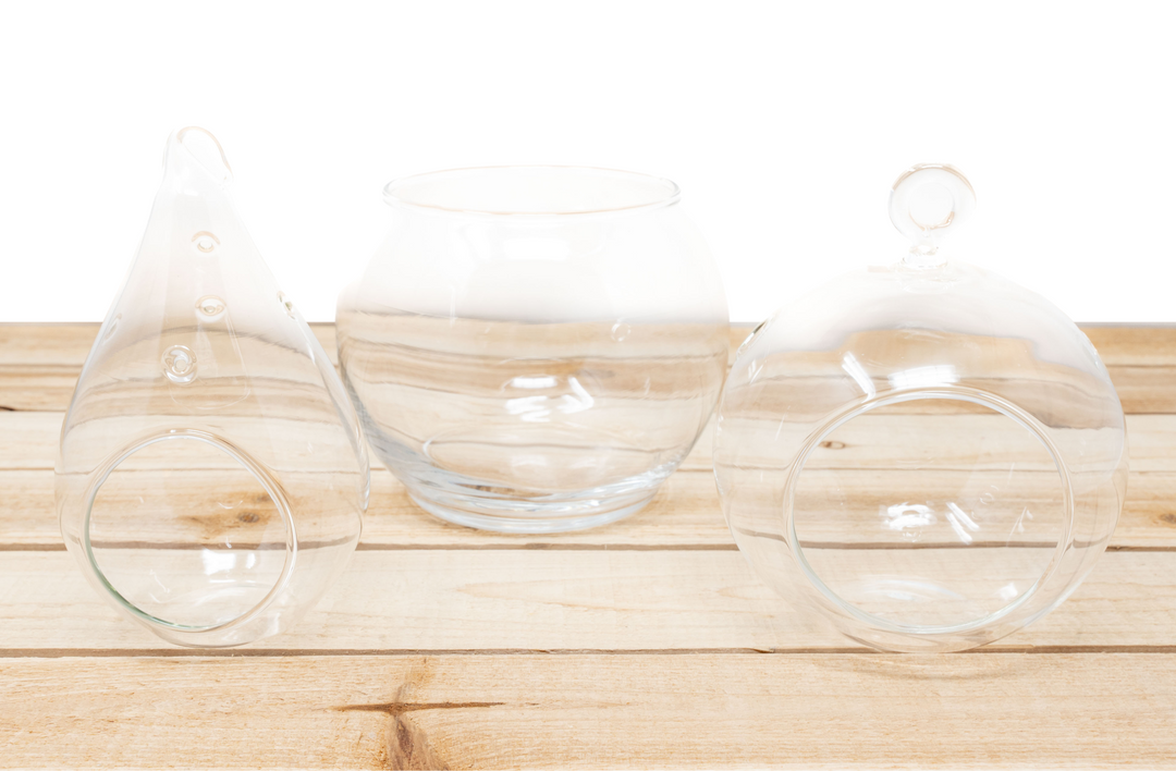 Collection of 3 Hand Blown Glass Terrariums