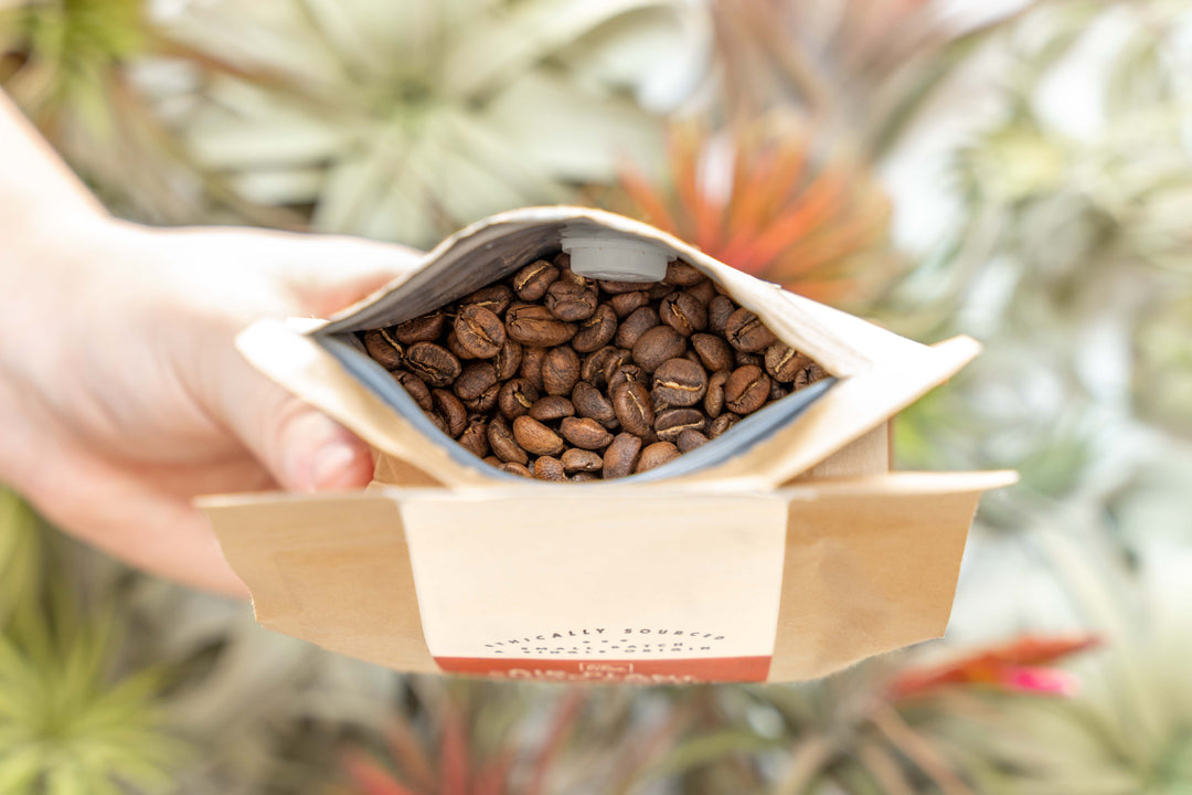 Wholesale: Air Plant Shop Whole Bean Coffee - 12 oz Bag