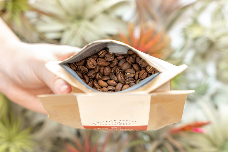 Wholesale: Air Plant Shop Whole Bean USDA Organic Coffee - 12 oz Bag