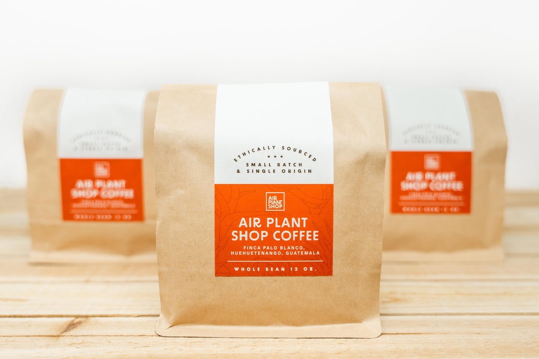 Wholesale: Air Plant Shop Whole Bean Coffee - 12 oz Bag