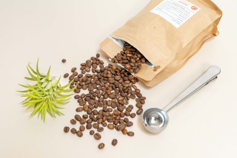 Wholesale: Air Plant Shop Whole Bean USDA Organic Coffee - 12 oz Bag