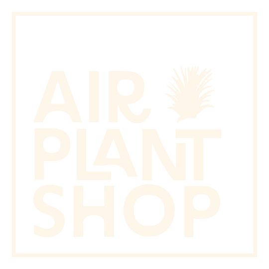 can snake enclosures have live plants