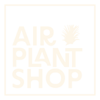 Air Plant Shop