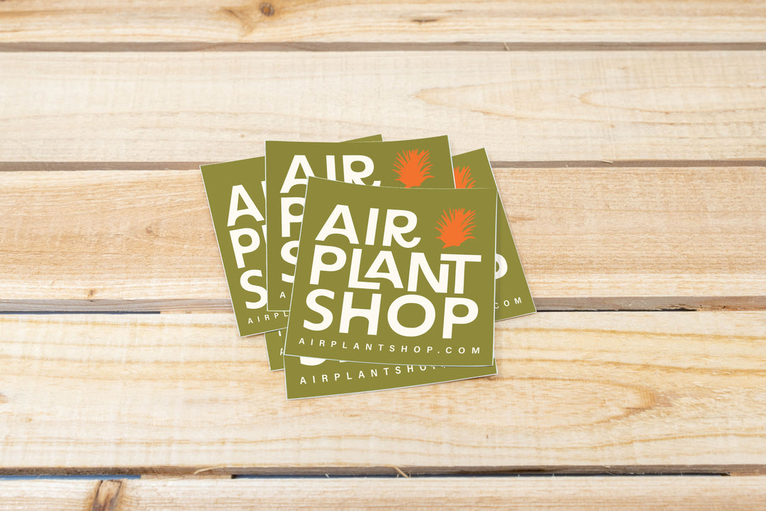 Air Plant Shop Vinyl Brand Sticker 3X3 Inches