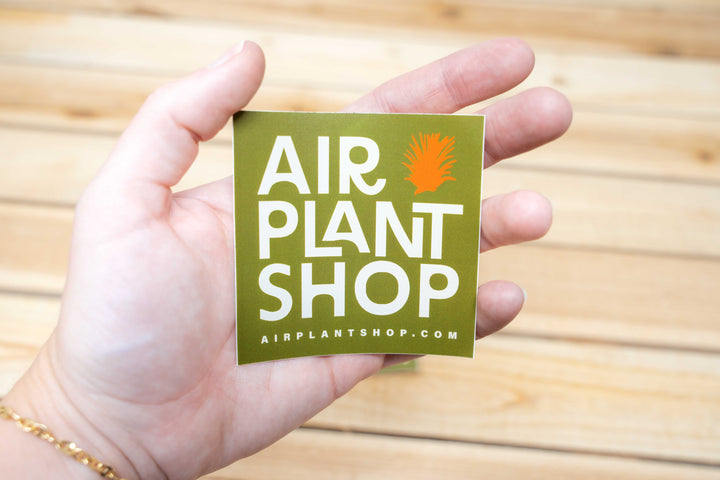 Air Plant Shop VIP Merchandise Combo