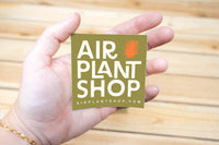 Air Plant Shop Vinyl Brand Sticker 3X3 Inches