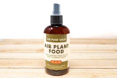 plant fertilizer spray Ready-To-Use Tillandsia Air Plant Fertilizer