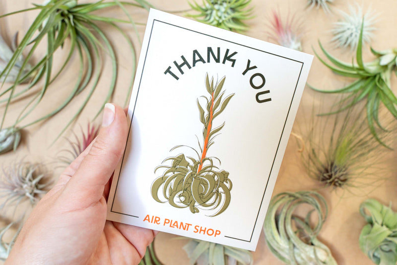 Blooming Xerographica Illustration Gift & Thank You Cards