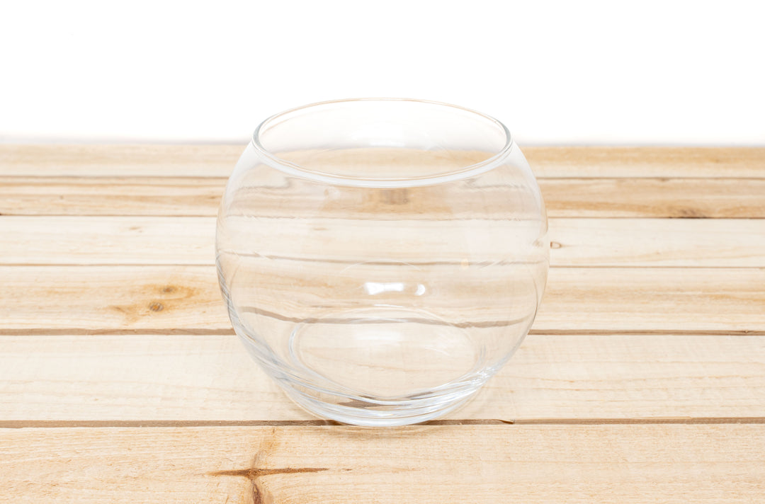Pura Vida Terrariums - Inspired by our trips to Costa Rica [2 Pack]
