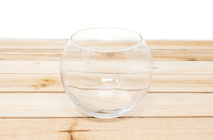 Pura Vida Terrariums - Inspired by our trips to Costa Rica [2 Pack]
