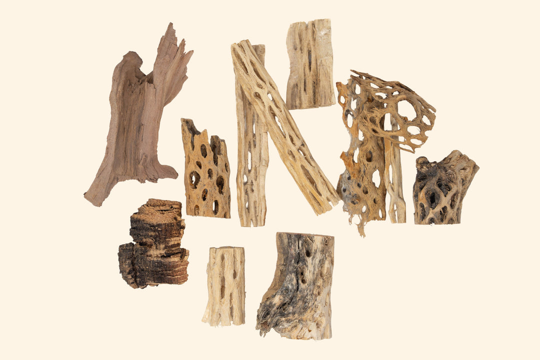 Assorted Cholla Wood, Cork Bark & Grapewood Pieces – Natural Air Plant & Vivarium Decor