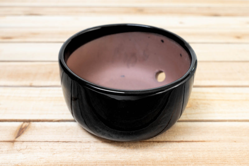 Wholesale: Black Glazed Terracotta Pot for Tillandsia Xerographica & Large Plant Assortments [Min Order 12]