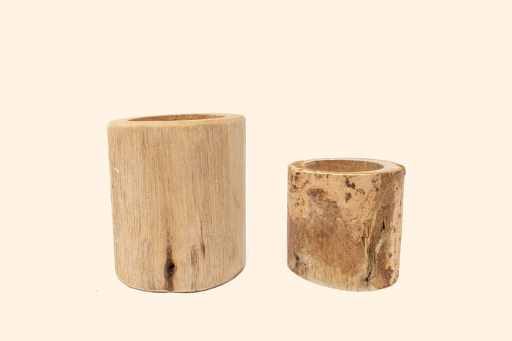 Wholesale: Driftwood or Succulent Container [Min Order 12]