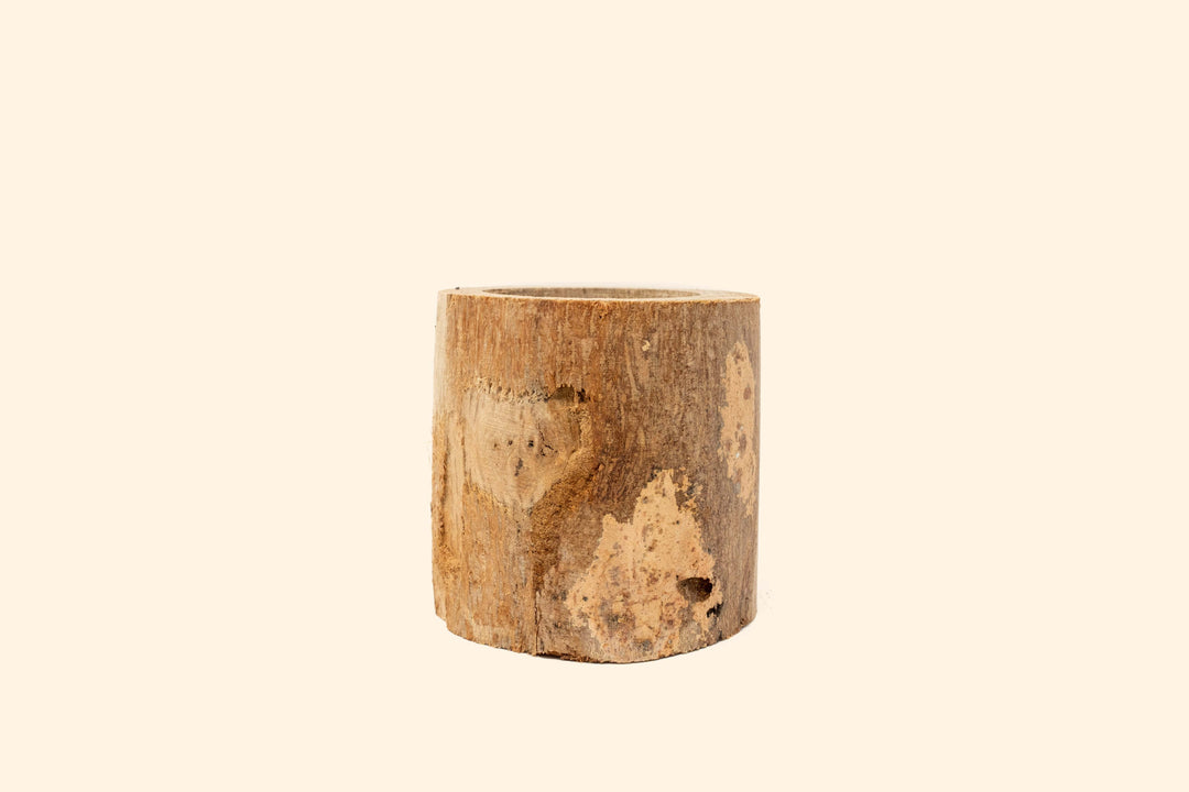 Wholesale: Driftwood or Succulent Container [Min Order 12]