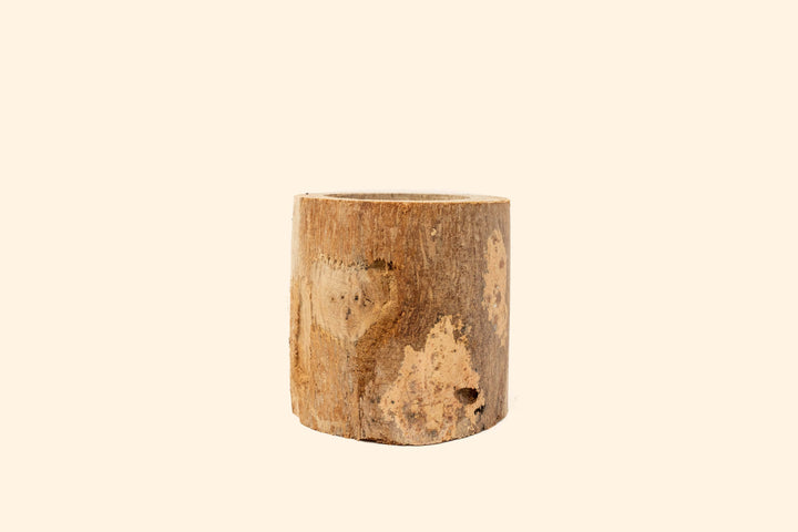 Wholesale: Driftwood or Succulent Container [Min Order 12]