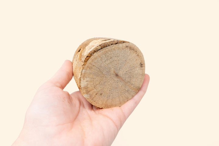 Wholesale: Driftwood or Succulent Container [Min Order 12]