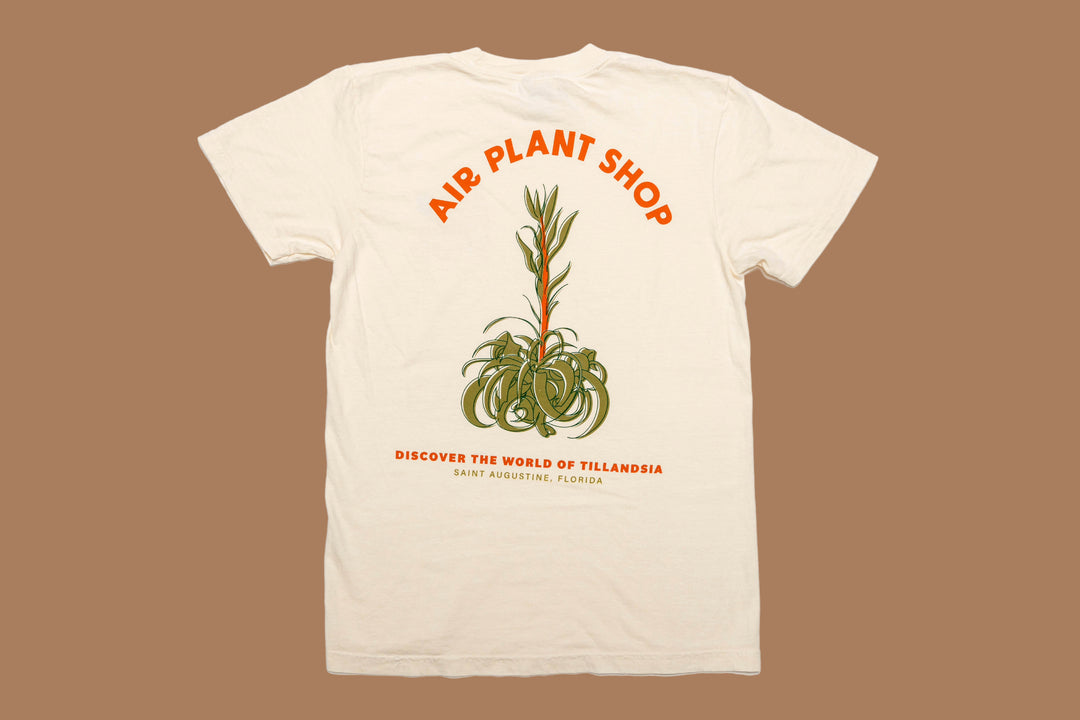 air plant shop st augustine Air Plant Shop Blooming Xerographica Graphic T-Shirt, S