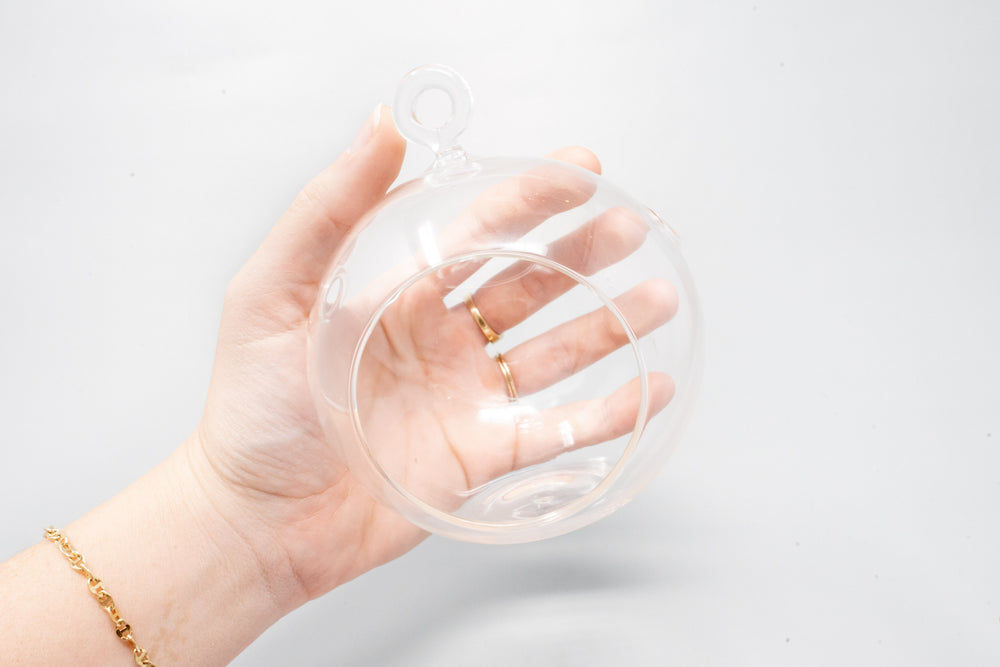 Hand holing a flat bottom glass globe terrarium