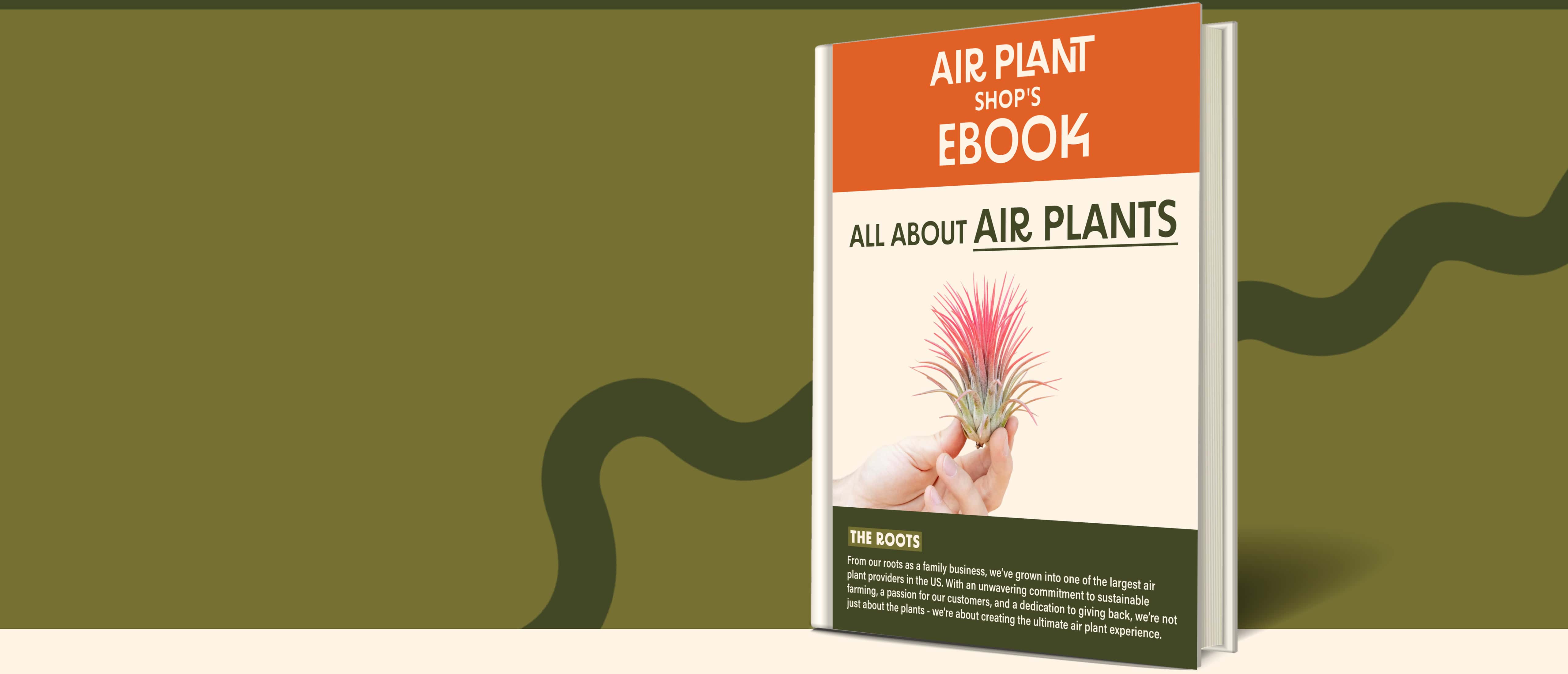 Tillandsia Air Plants Free eBook